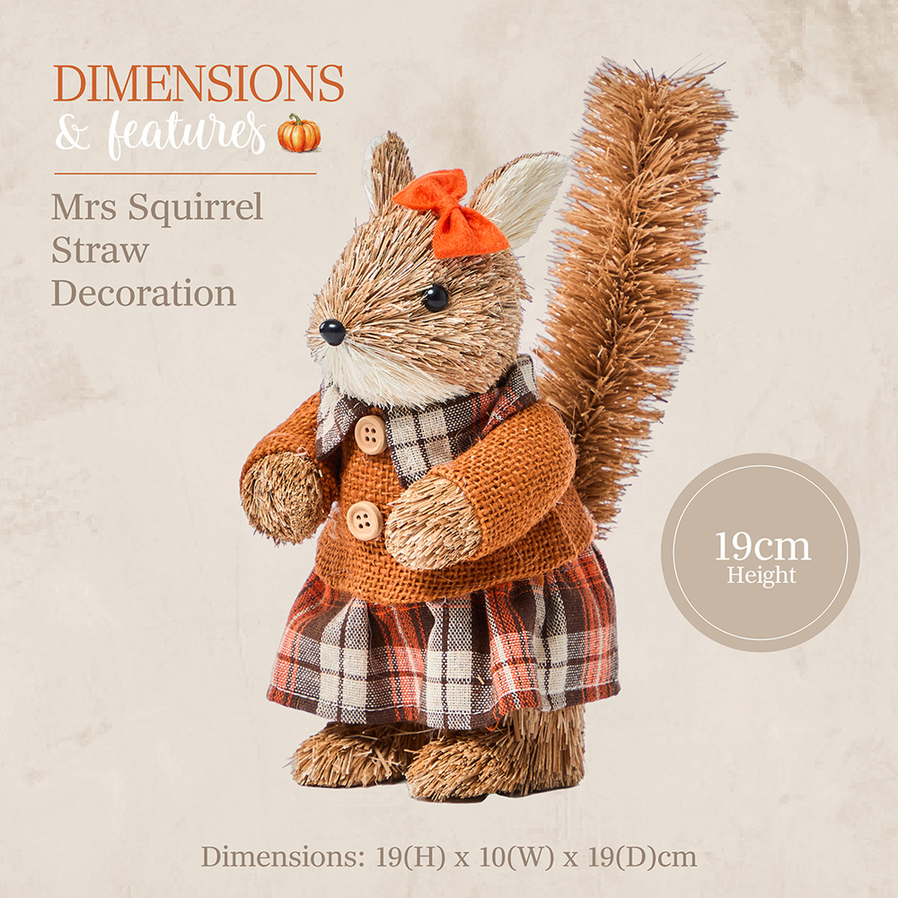 Benross Anika Mrs Squirrel Straw Decor 19cm Image 7