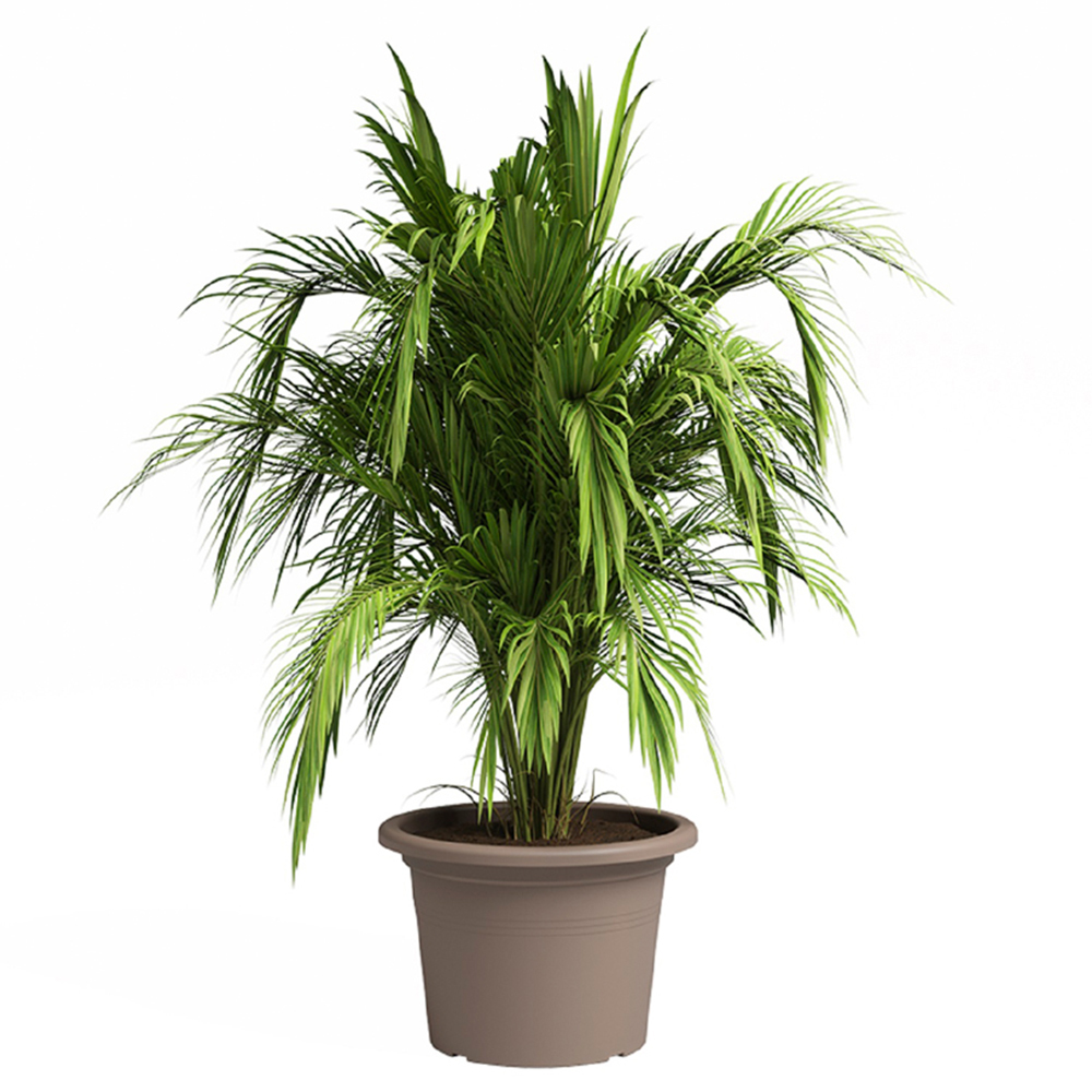 Artevasi Venezia Cilindro Taupe Planter 45cm Image 3