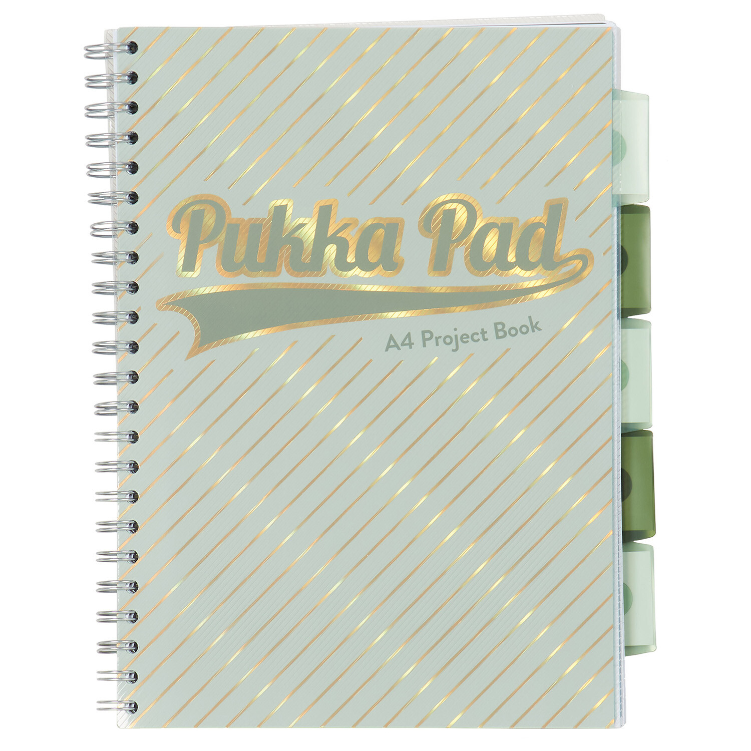 Pukka Haze A4 Project Book Image 6