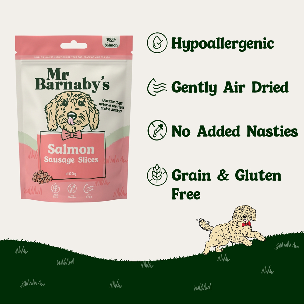 Mr Barnaby's Salmon Sausage Slices Dog Treats 100g 2 Pack Image 5