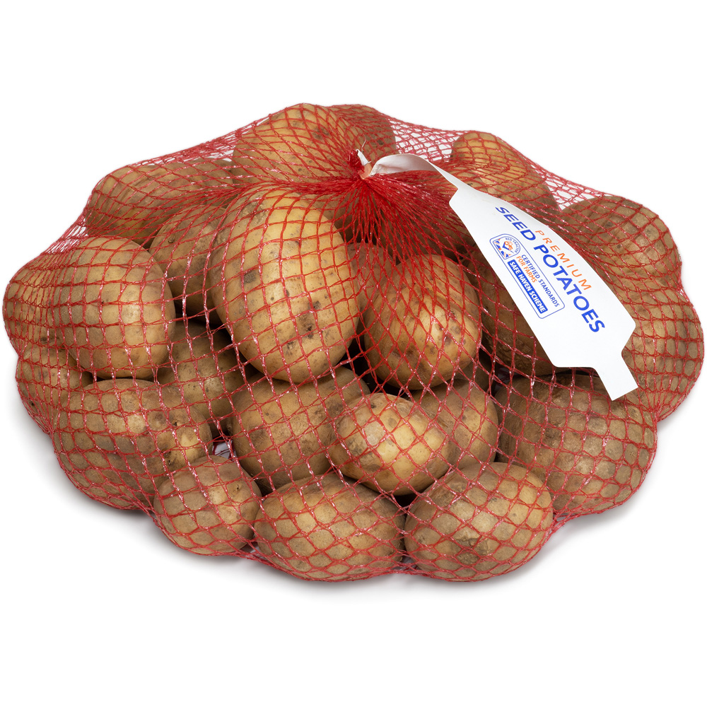 wilko Maris Piper Seed Potato Tubers Maincrop 2.5kg Image 3