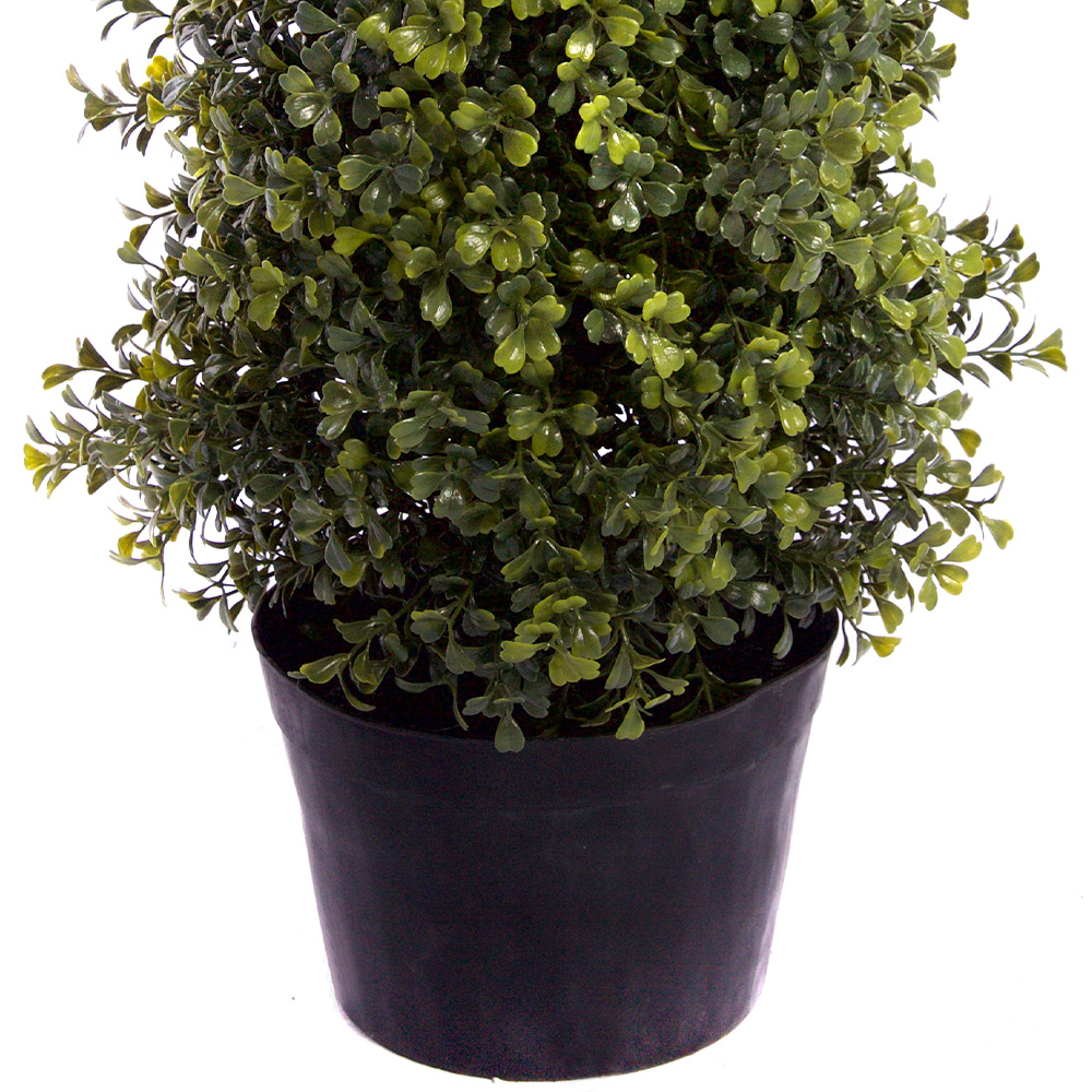 2ft Potted Boxwood Topiary Tree Image 3