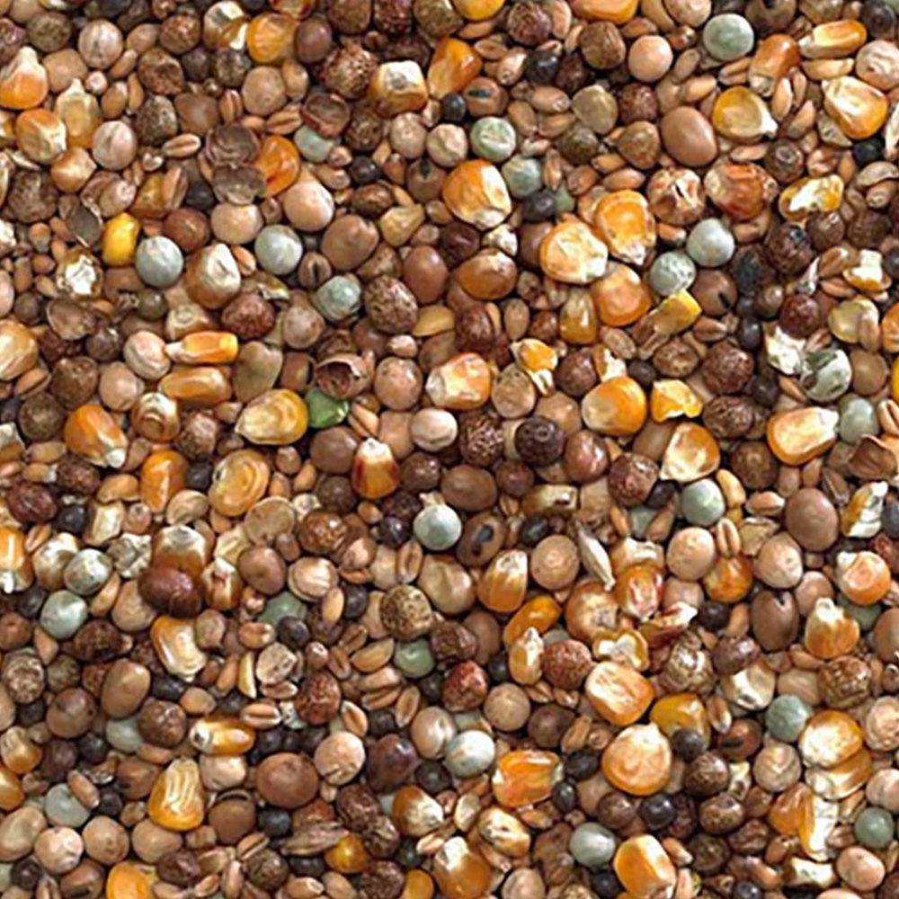 Bucktons Economy High Protein Seed Mix 20kg Image 2
