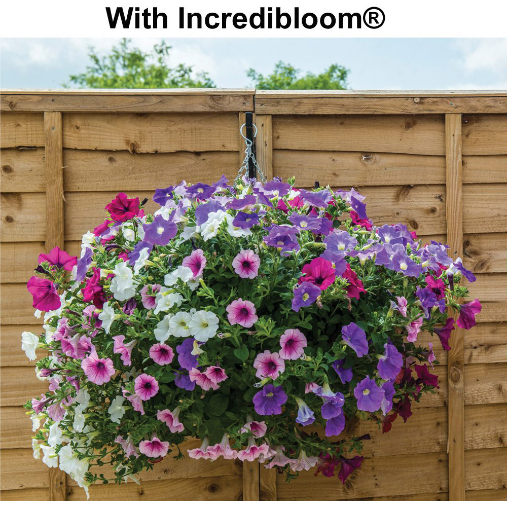 Thompson & Morgan Incredibloom Fertiliser 100g Image 4