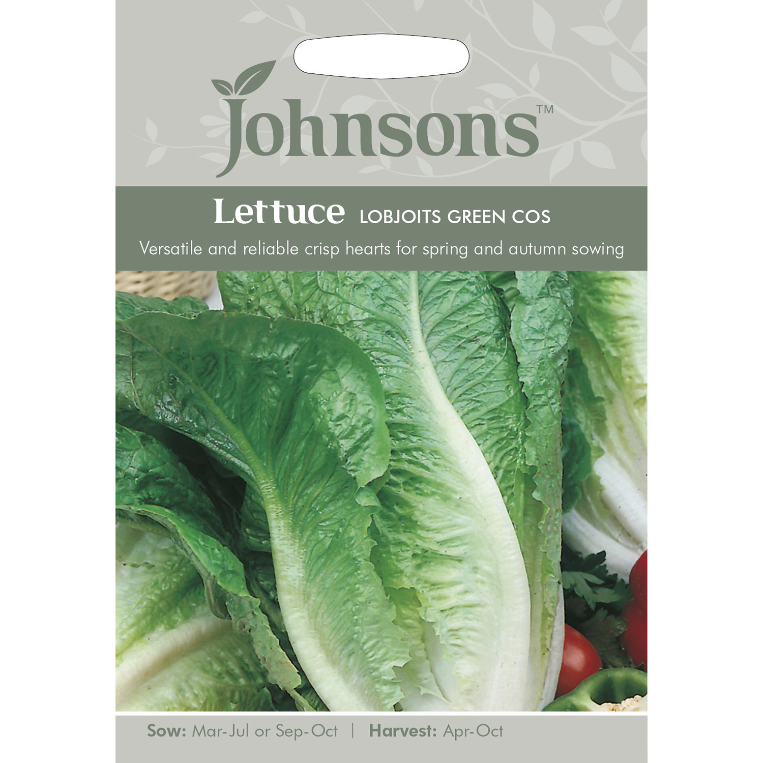 Johnsons Pack of Lettuce Lobjoits Green Cos Seeds Image 1