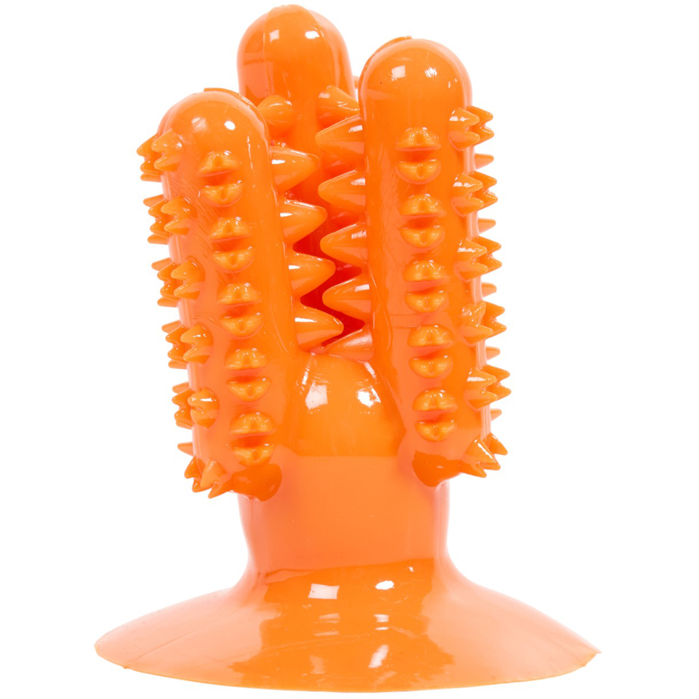 Clever Paws Cactus Dog Dental Toy Image 3
