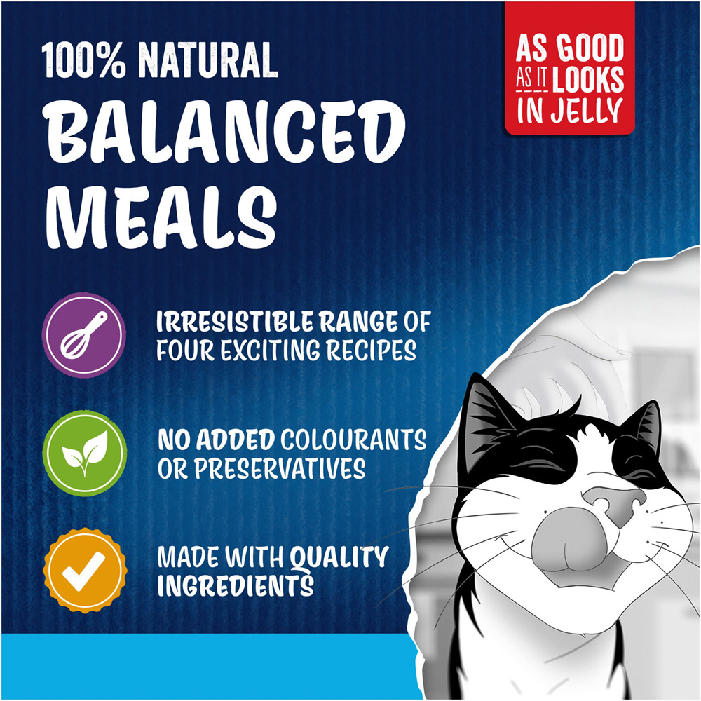 Felix As Good As It Looks Fish Selection in Jelly Senior Wet Cat Food Image 8