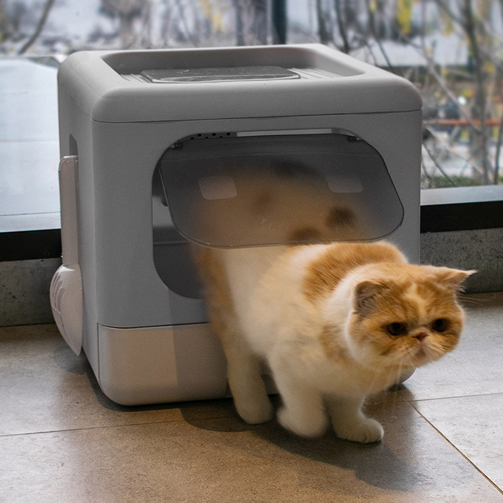 Full litter box deals