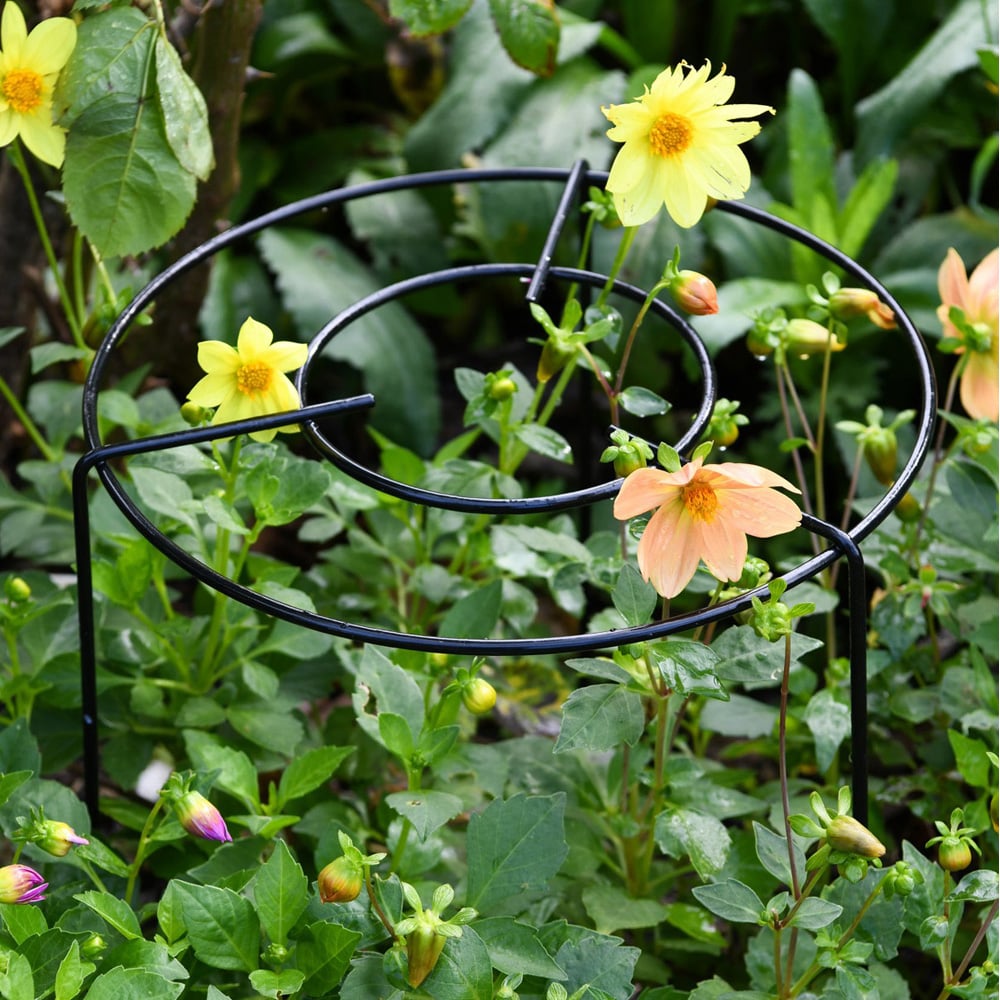 Garden Gear Grow Through Medium Double Round Grid Support 25cm Image 2