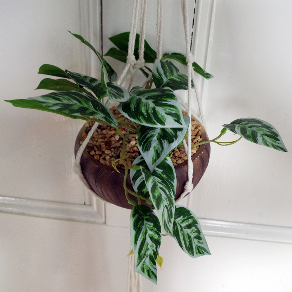 Botanik Pothos Hanging Artificial Plant in Ceramic Pot 20cm Image 2