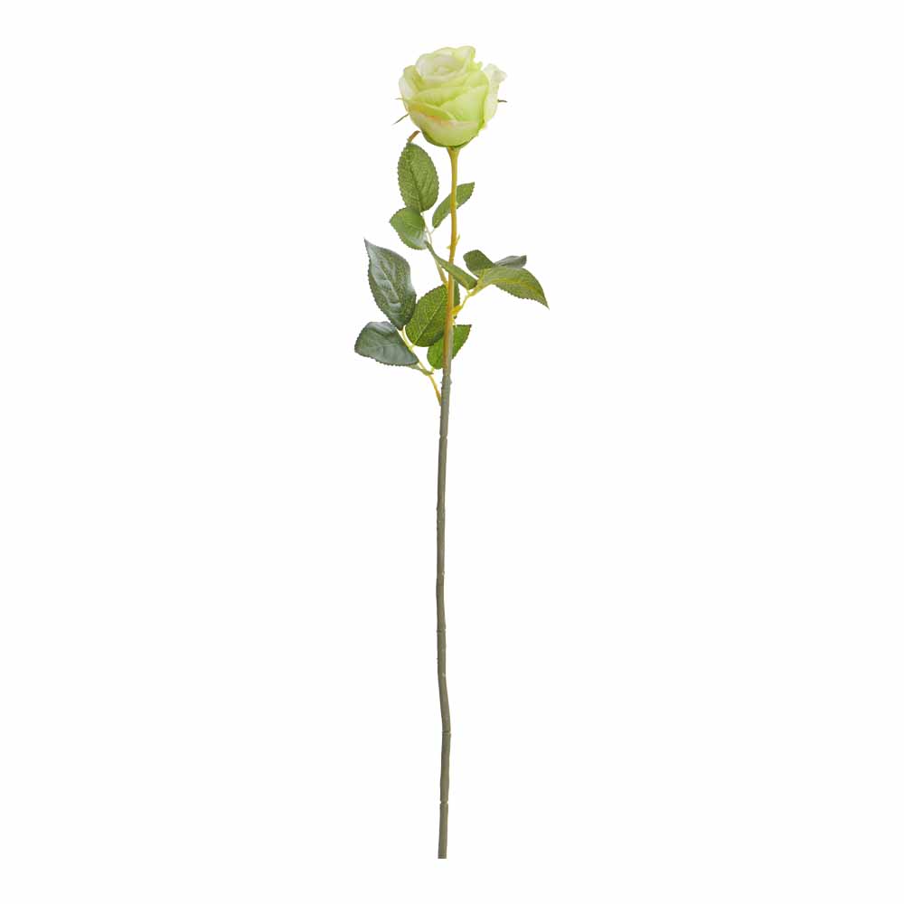 Wilko Single Stem Rose Green Image 2