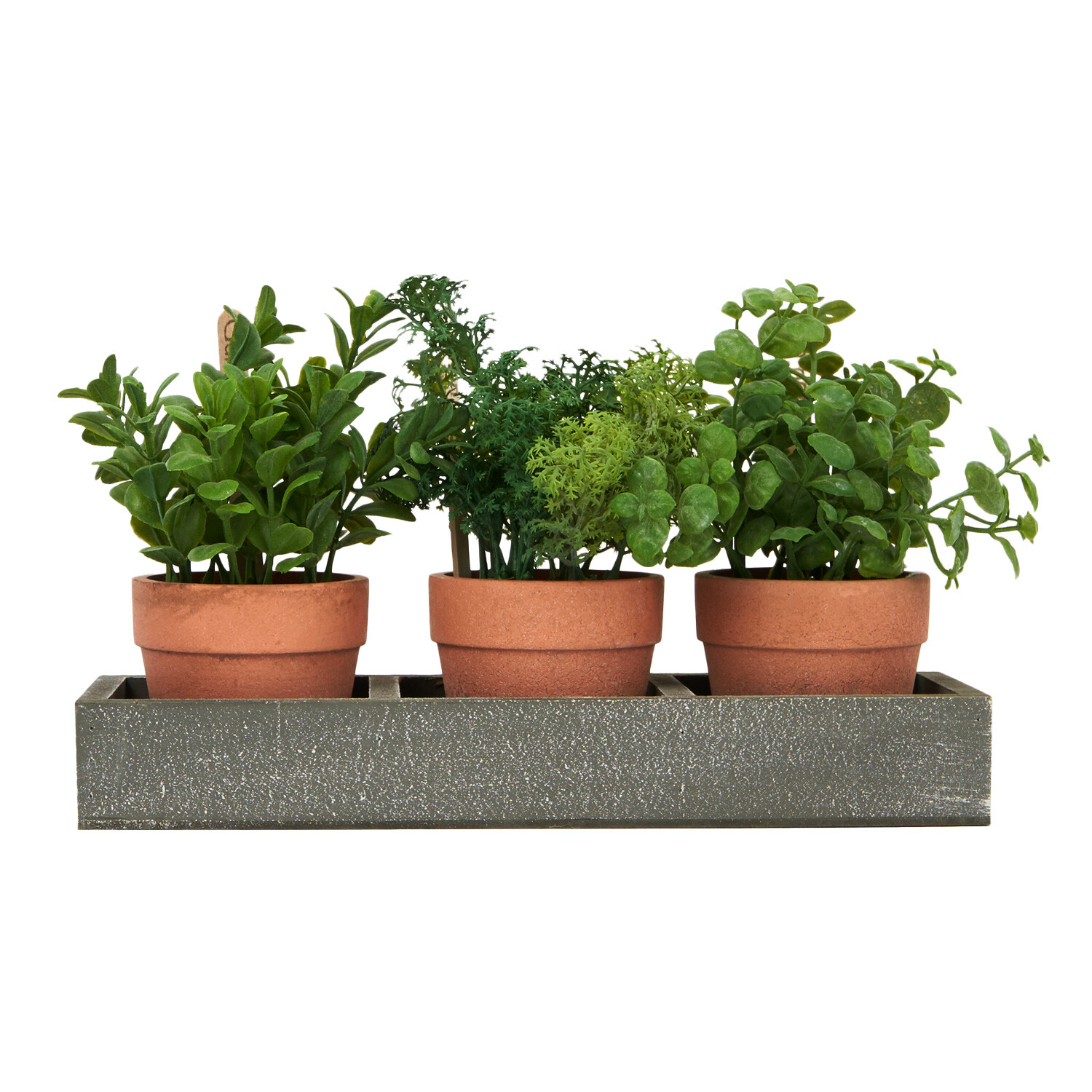 Set of 3 Potted Herbs in Tray - Grey Image 1