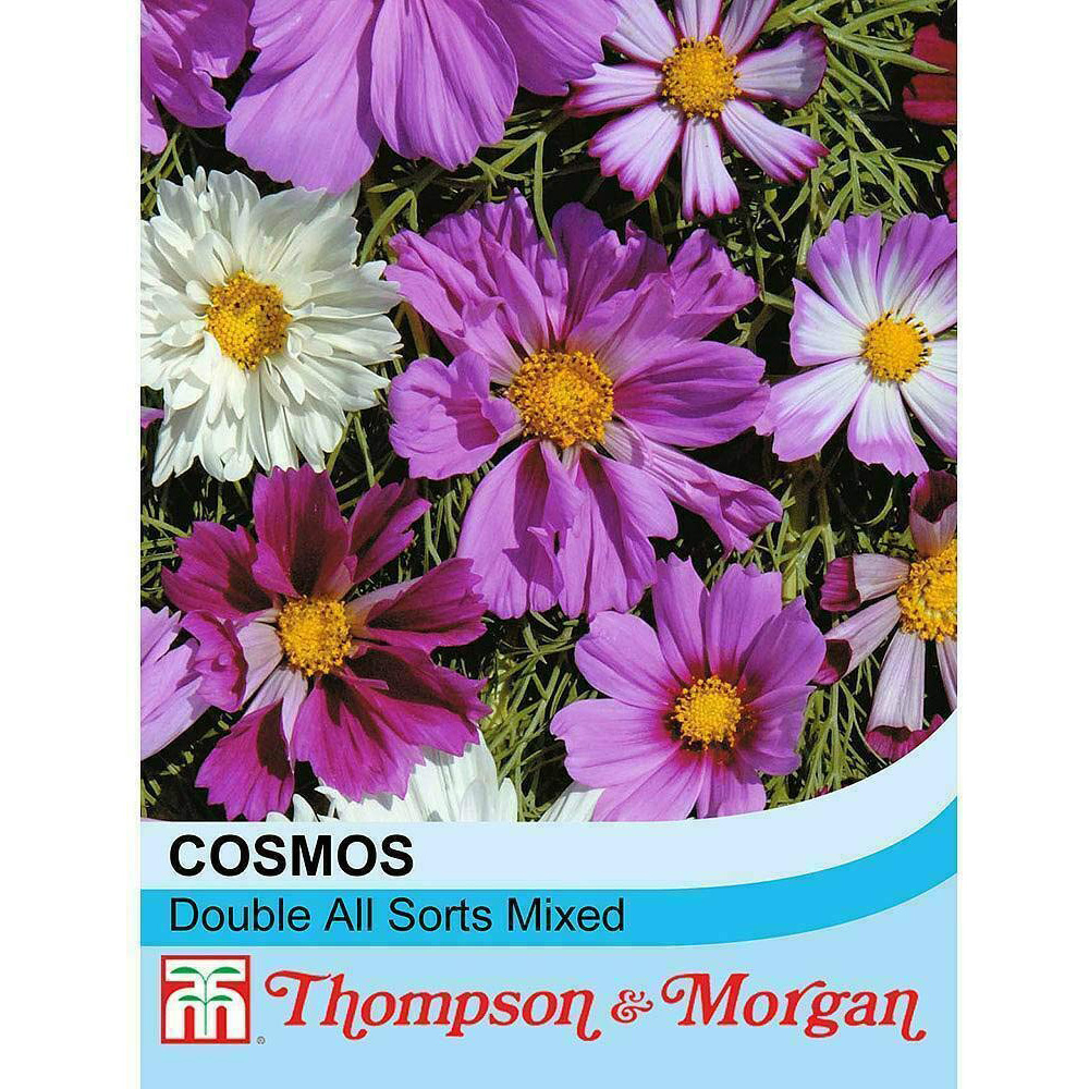 Thompson & Morgan Cosmos Double All Sorts Mixed Seeds Image 2