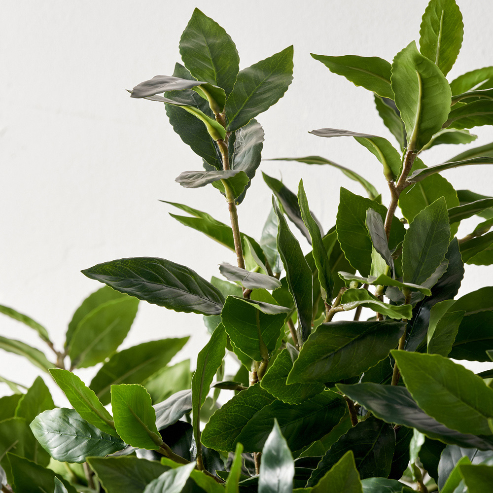 Pacific Lifestyle Bay Artificial Tree in White Pot 5ft Image 3