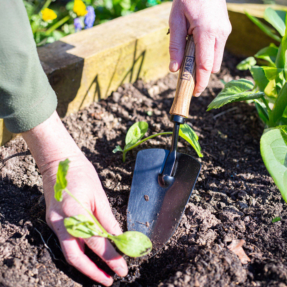 AMES Tools Carbon Steel Garden Hand Trowel Image 3