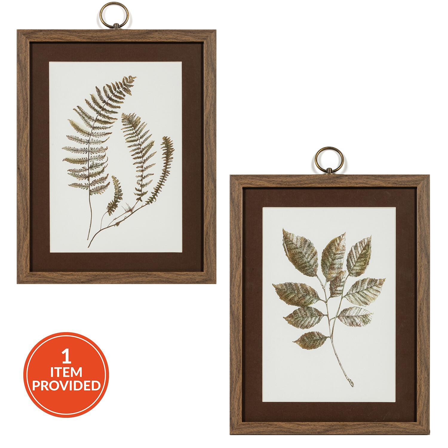 Fallen Leaf Dark Wood Framed Glass Art Image 1
