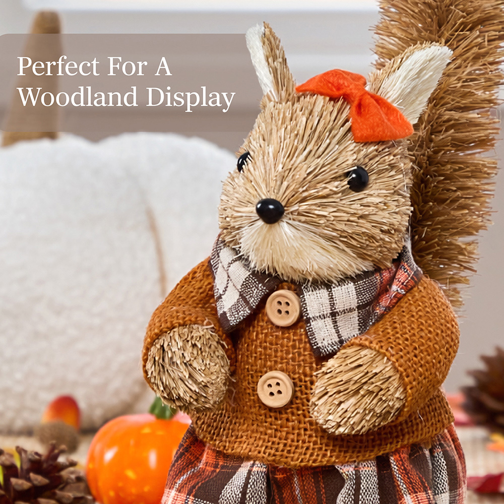 Benross Anika Mrs Squirrel Straw Decor 19cm Image 5