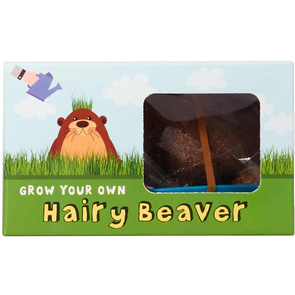 Grow Your Own Hairy Beaver Brown Image 2