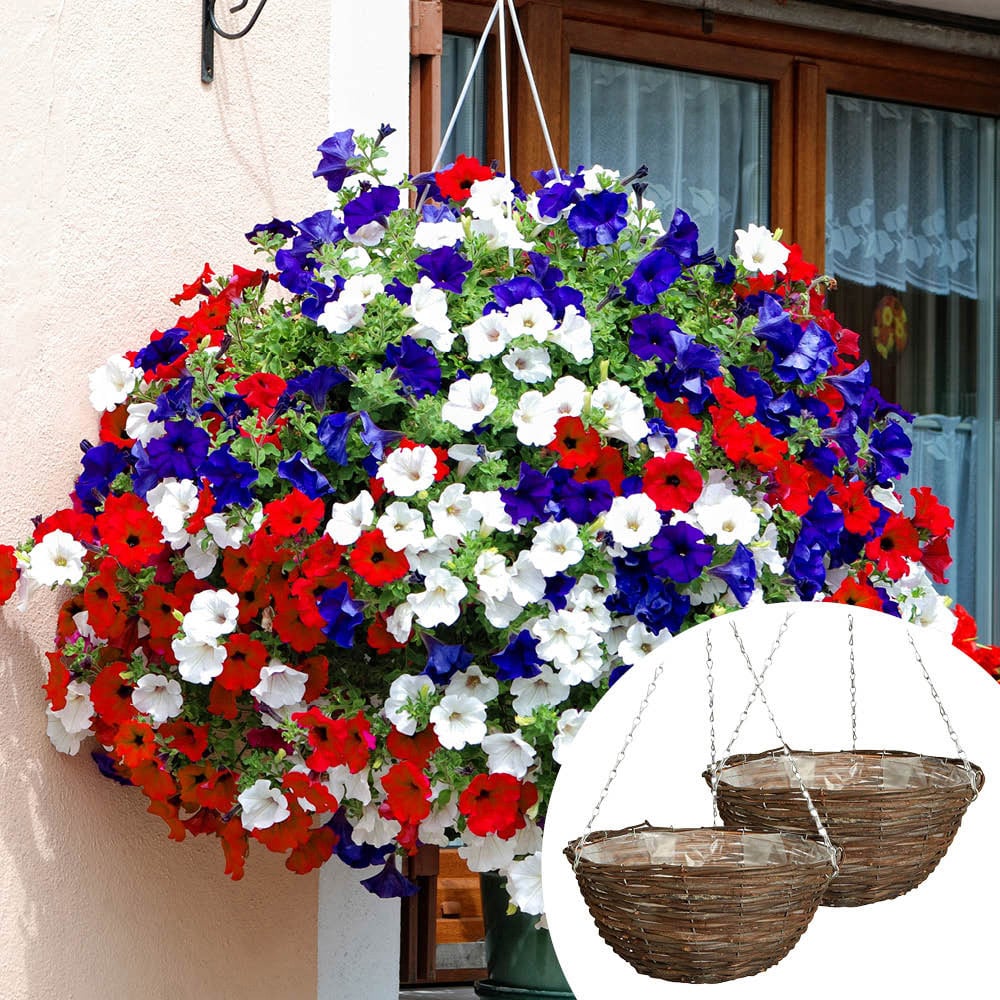 YouGarden Preplanted Petunia Patriotic Rattan Hanging Basket 35cm 2 Pack Image 2