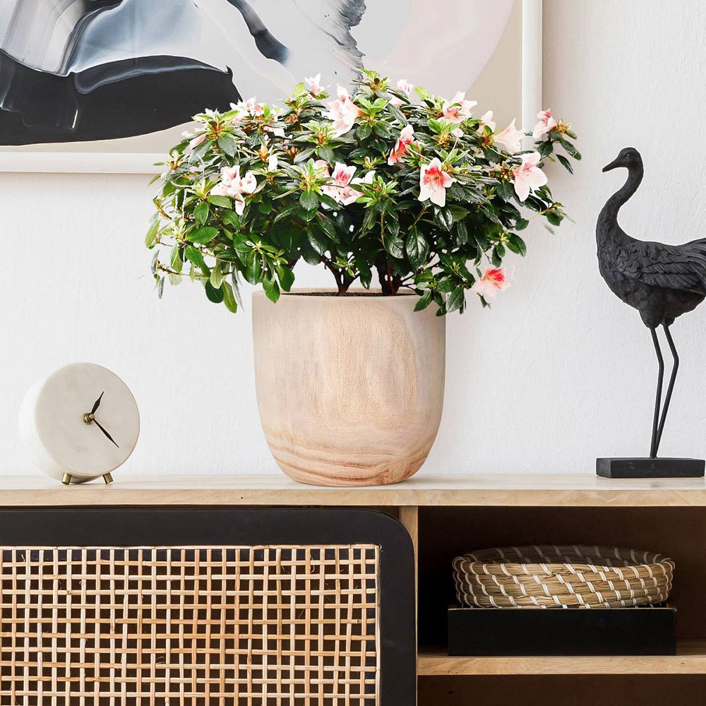 LECHUZA Hortico Radial Wooden Round Indoor Plant Pot 24 x 26cm 2 Pack Image 5