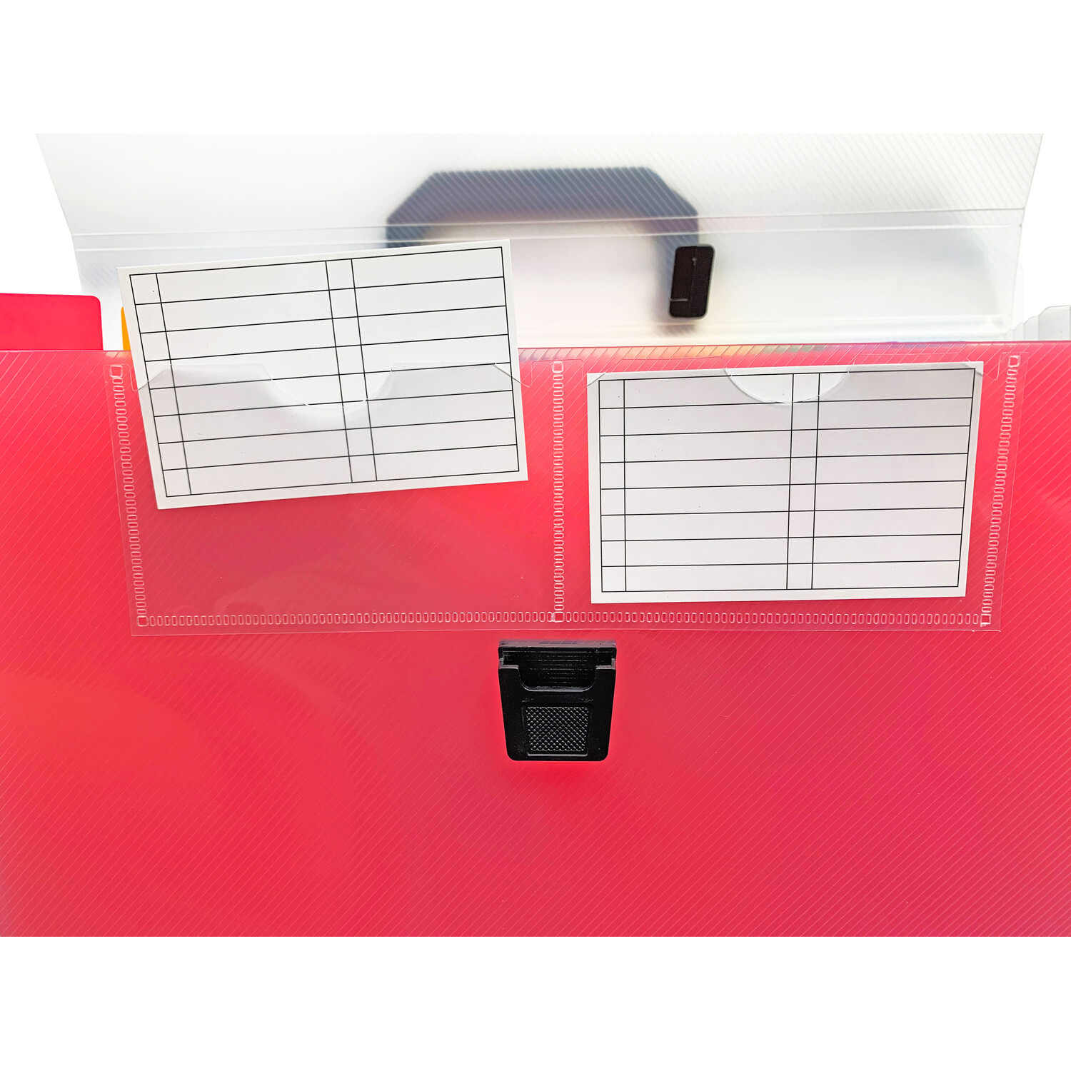 Expanding Box File with Tabs Image 4