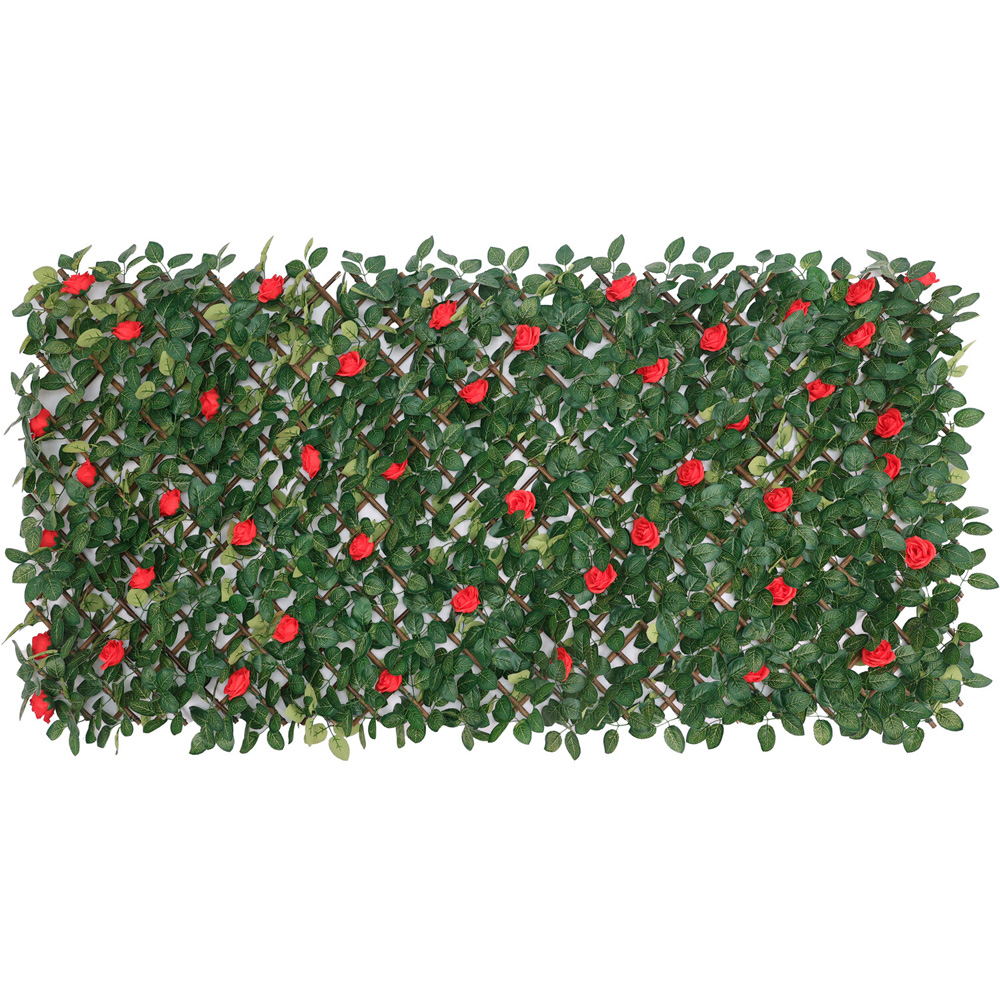 Expanding Red Rose Leaf Fence Green Image 3