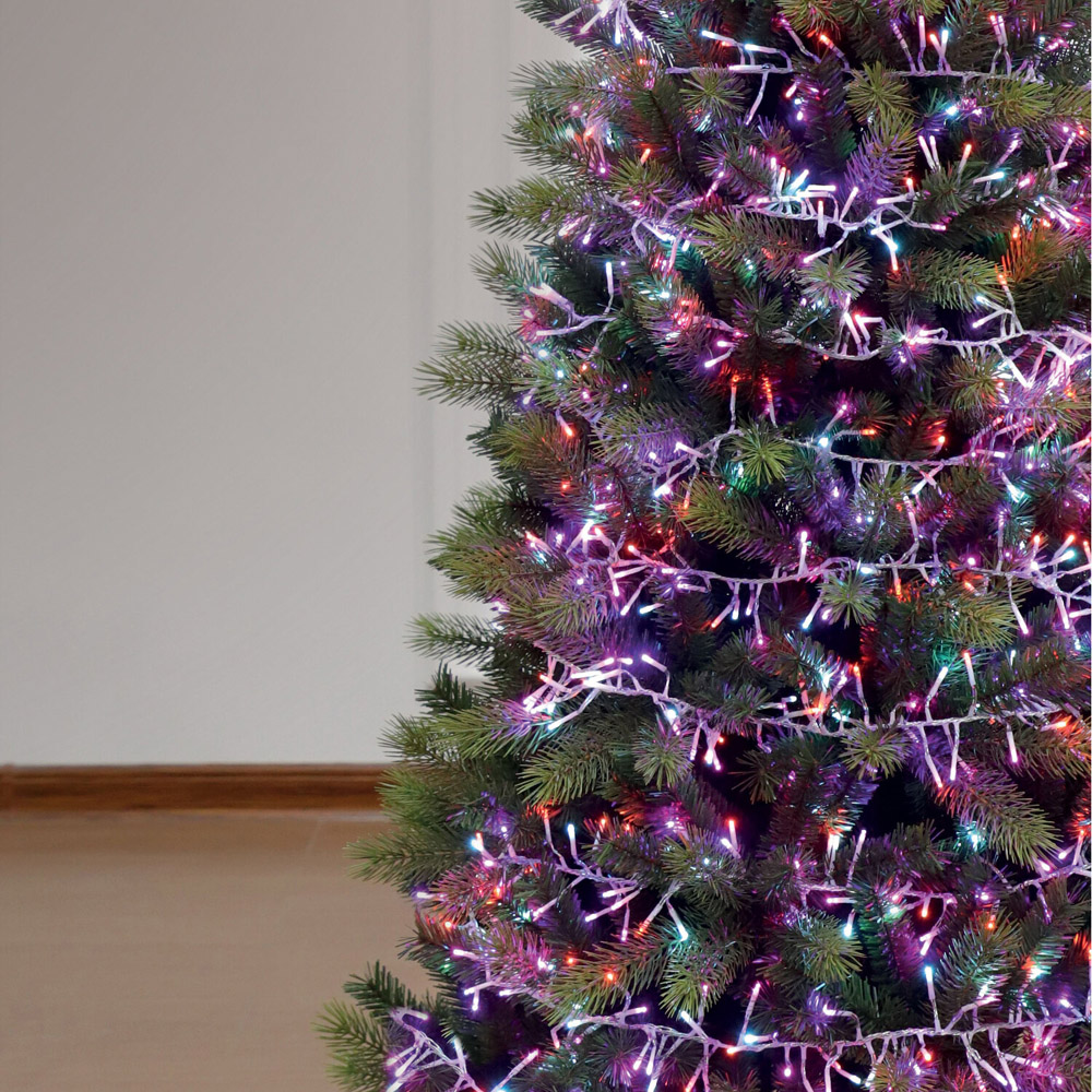 1000 LED Cluster Lights Rainbow Image 2