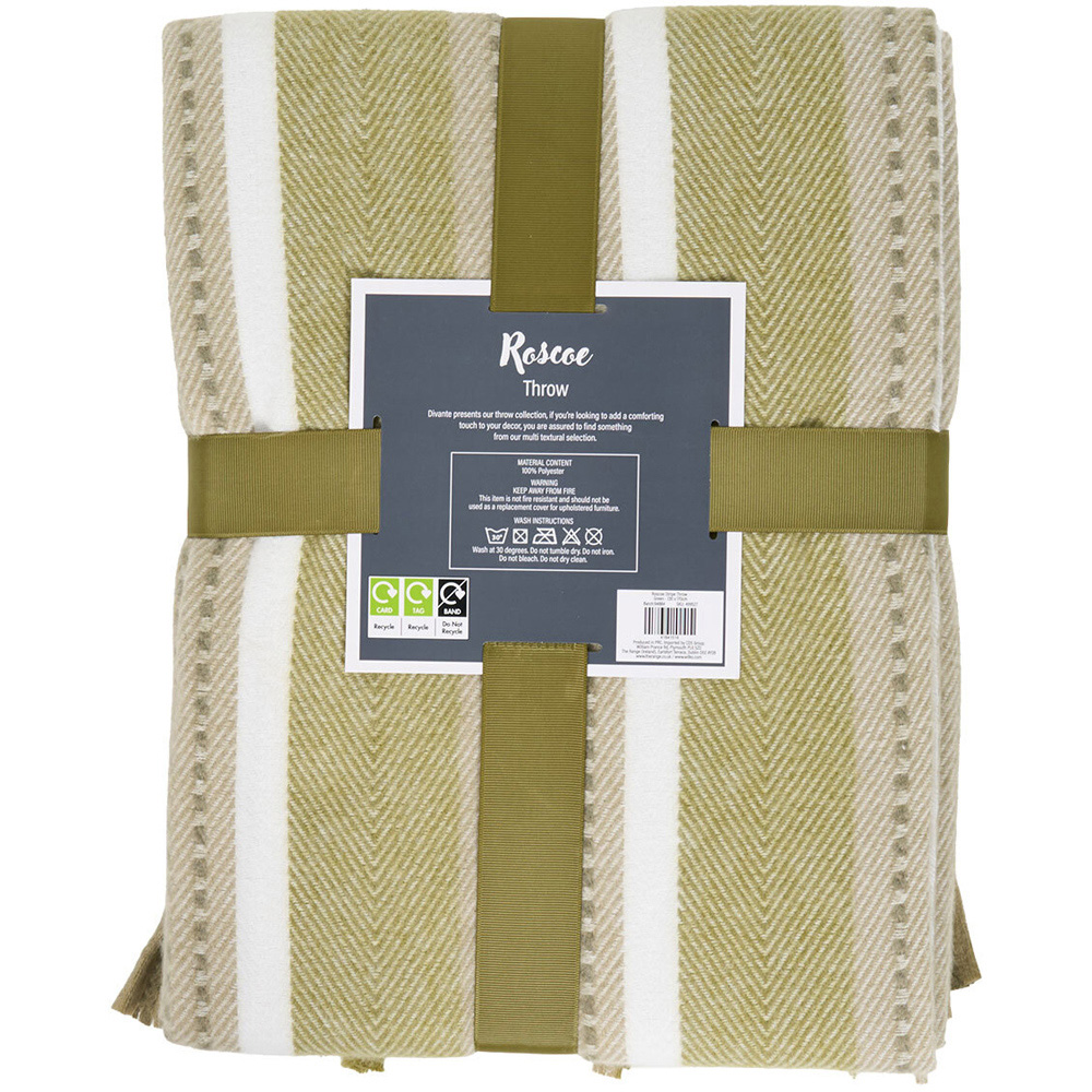 Roscoe Stripe Throw Green Image 4