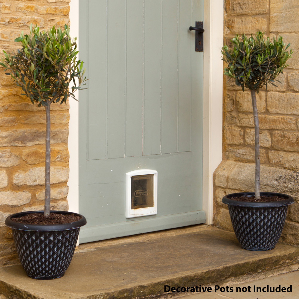 YouGarden Olive Standards Tree Pot 2 Pack Image 1