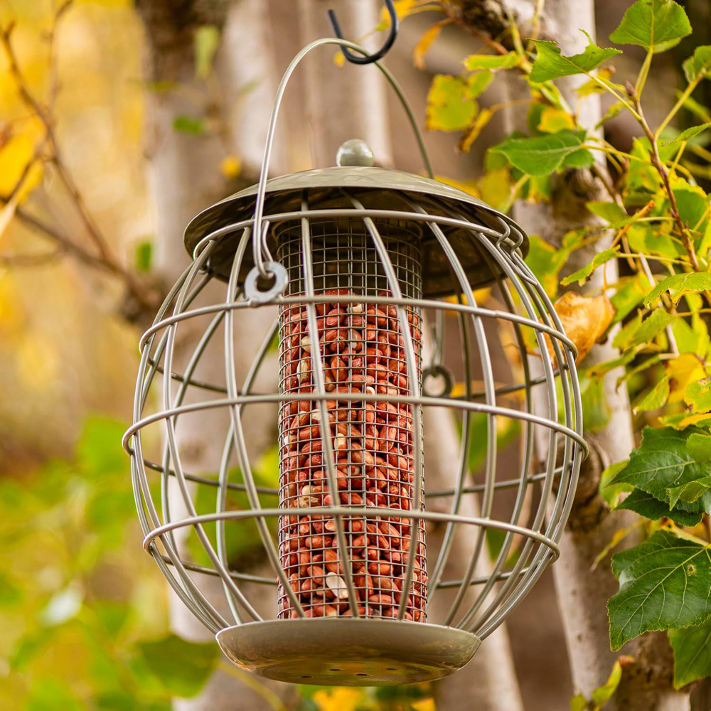 Thompson and Morgan Happy Beaks Orbital Squirrel Proof Peanut Feeder Image 5
