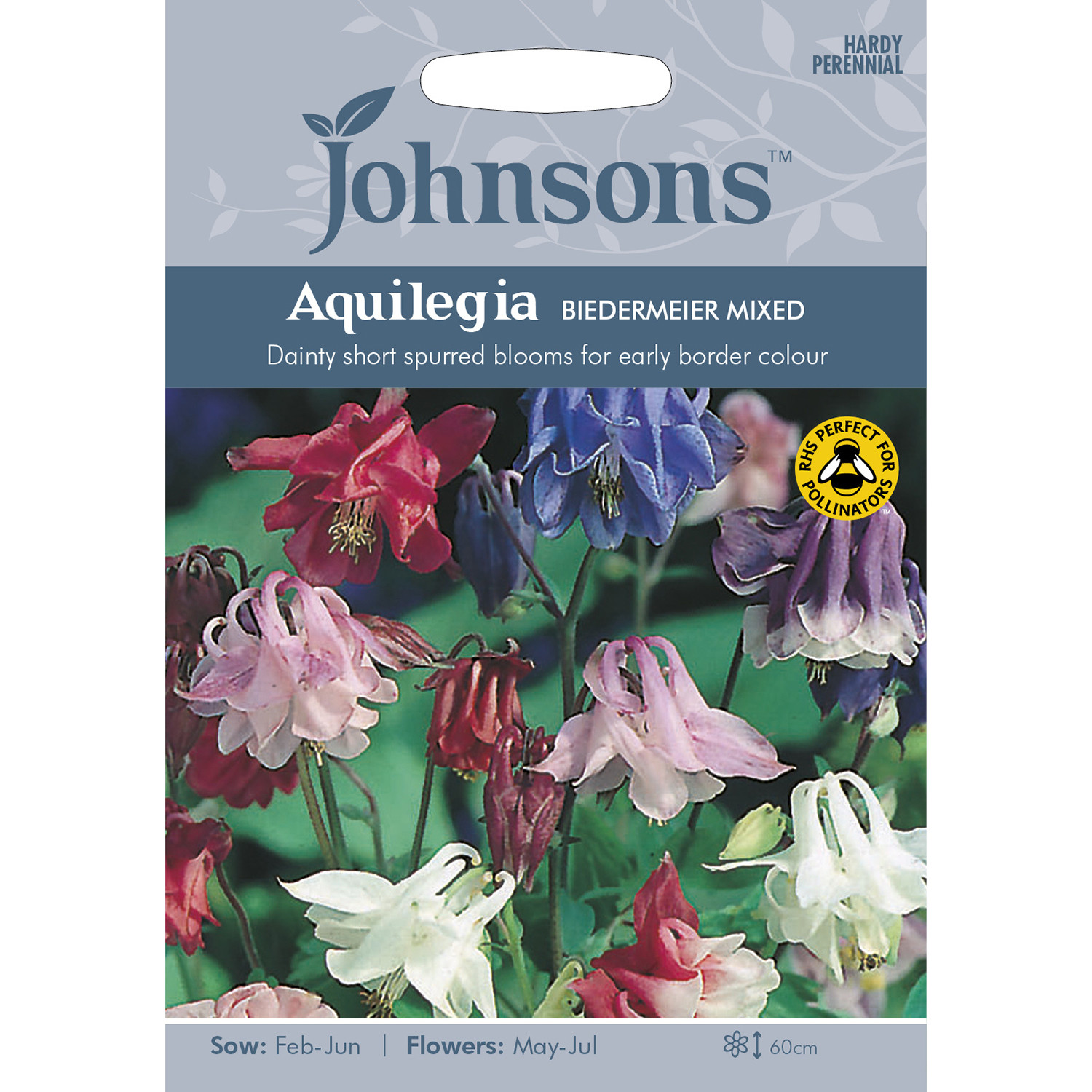 Johnsons Aquilegia Biedermeier Mixed Flower Seeds Image 2