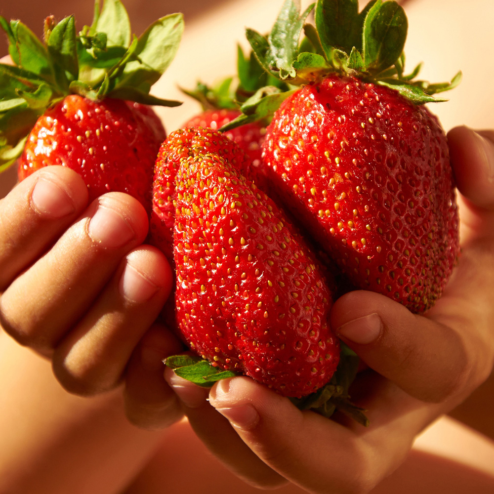 YouGarden Sweet Colossus Strawberry Growing Kit Image 3