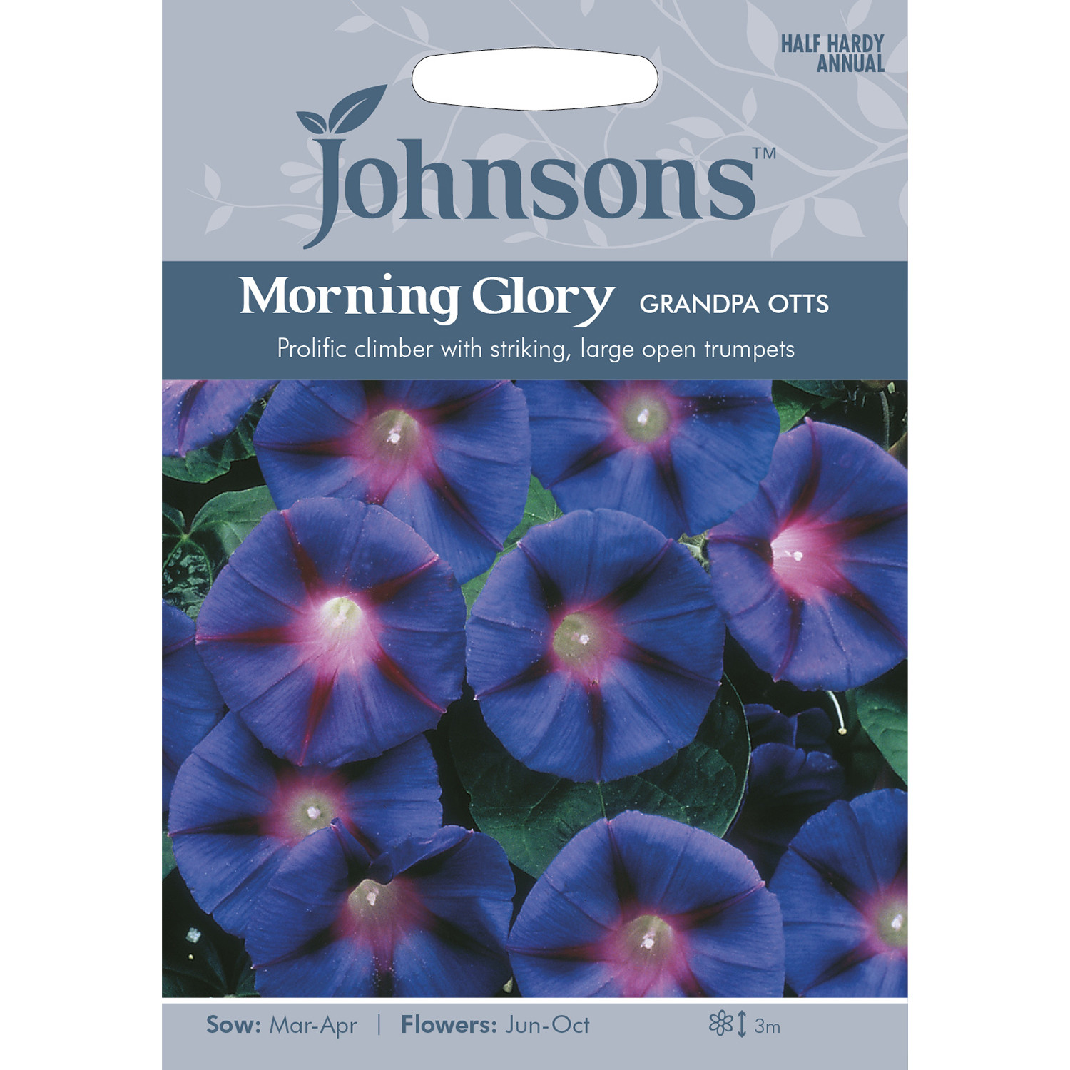 Pack of Grandpa Otts Morning Glory Flower Seeds Image 1