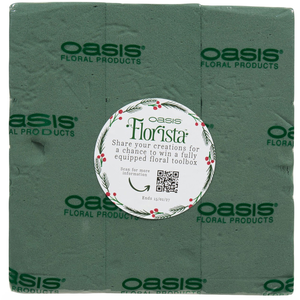 Pack of 3 Oasis Bio Wet Foam Bricks Green Image 2