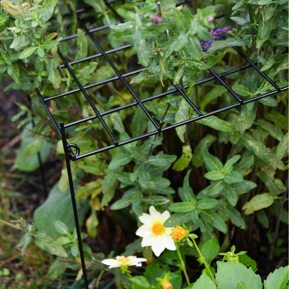 Garden Gear Rectangle Grow Through Grid Support 50cm 3 Pack Image 2