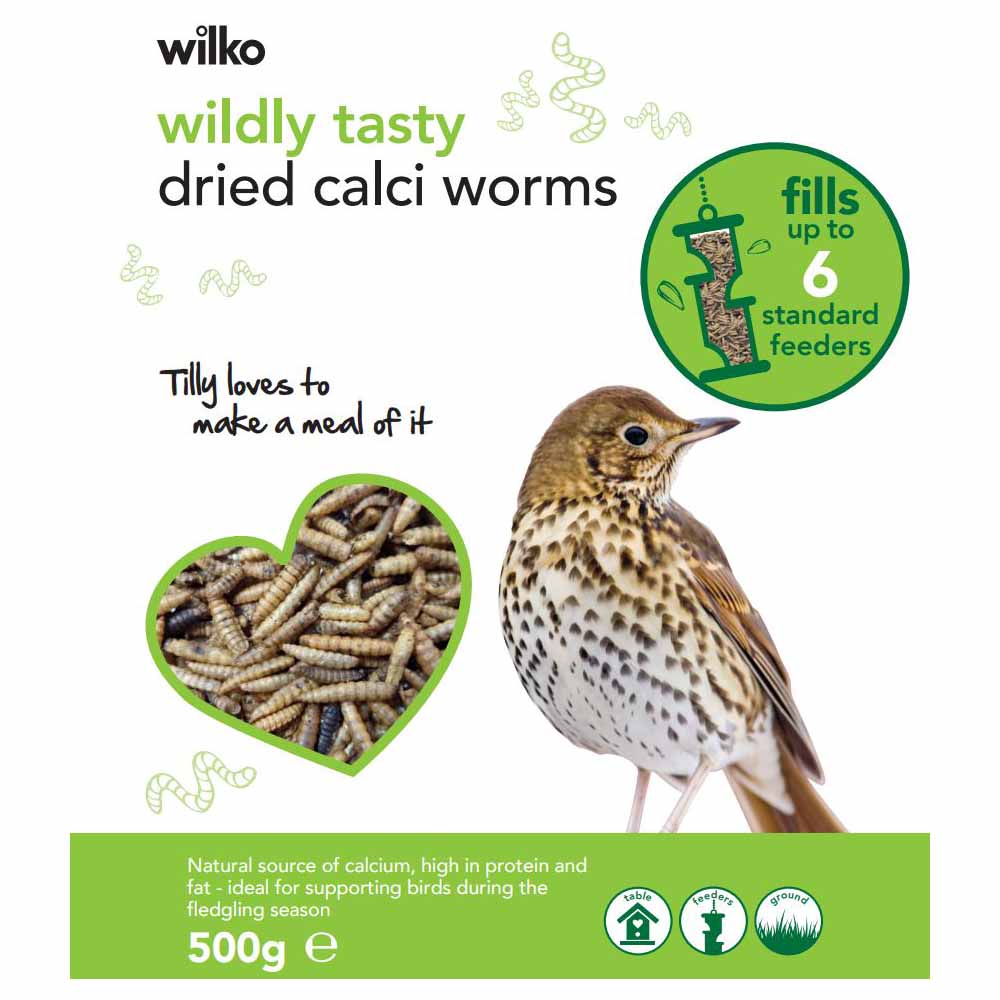 Wilko Wild Bird Dried Calci Worms 500g Wilko