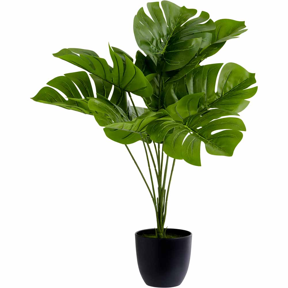 Wilko Cheese Plant In Pot Artificial Plant Image 1