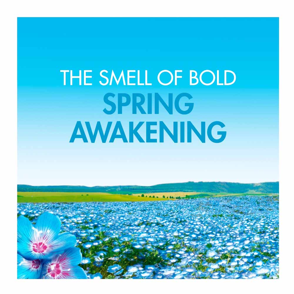 Bold All-in-1 Pods Washing Liquid Capsules Spring Awakening 15 Washes Image 3
