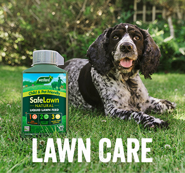 Lawn Care
