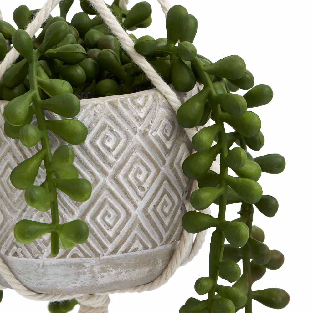 Wilko Hanging Plant in Cement Pot Image 3