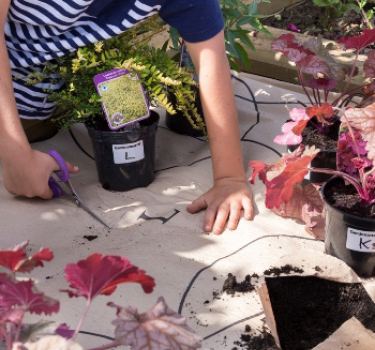 Garden on a roll step 4