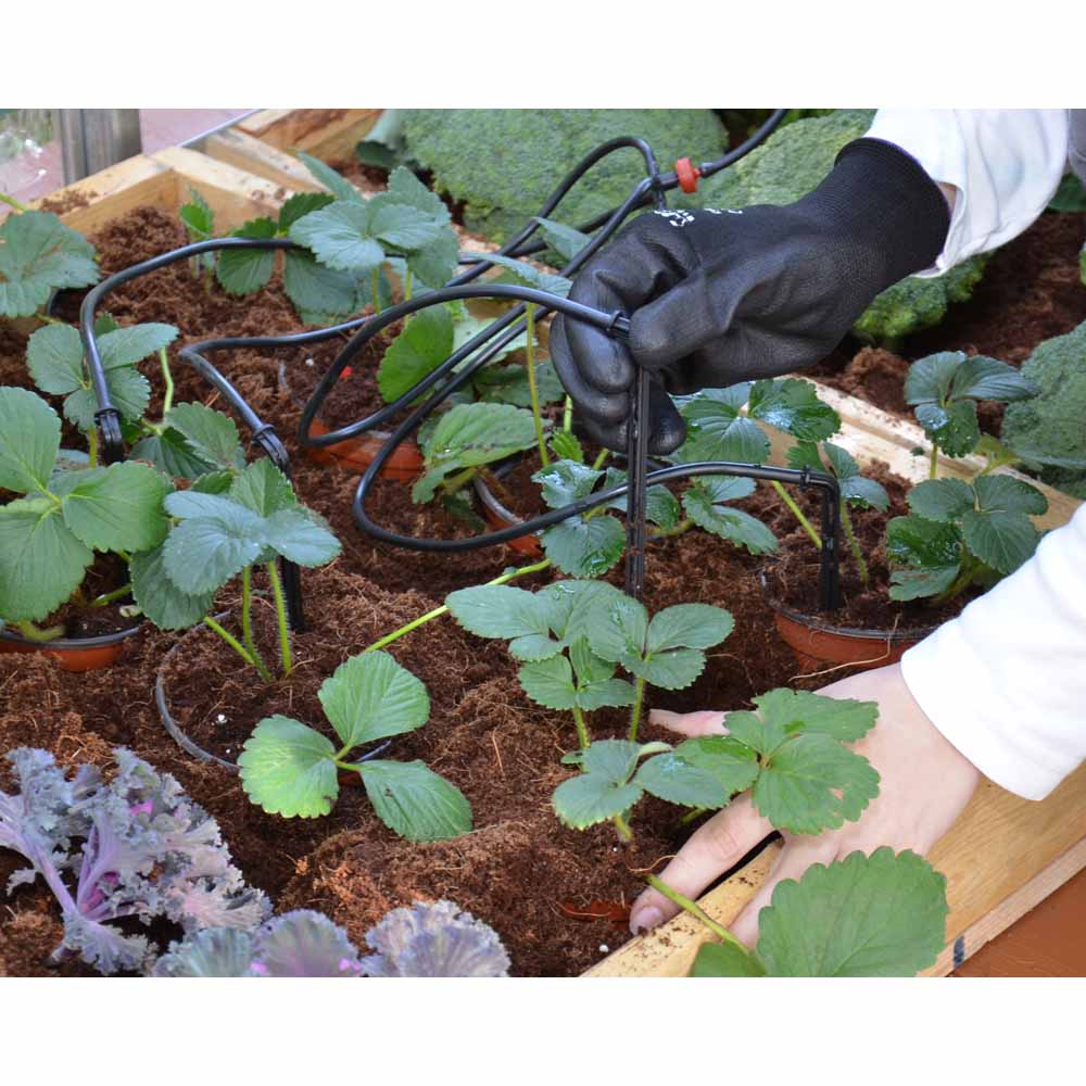 Palram Greenhouse Accessory Drip Irrigation Kit  - wilko