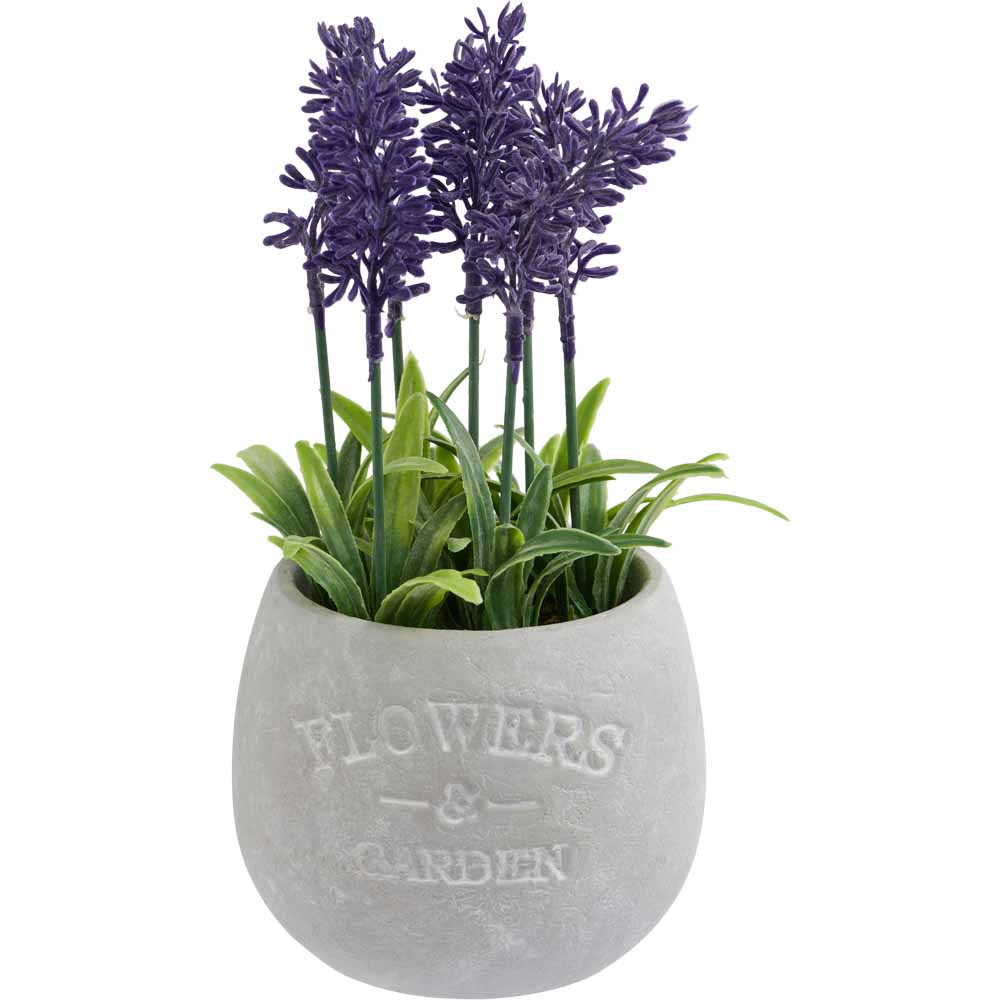 Wilko Faux Lavender in Grey Pot Image 1