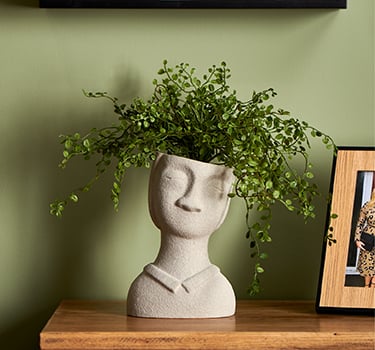 Home Accs Artificial Plants Category Box