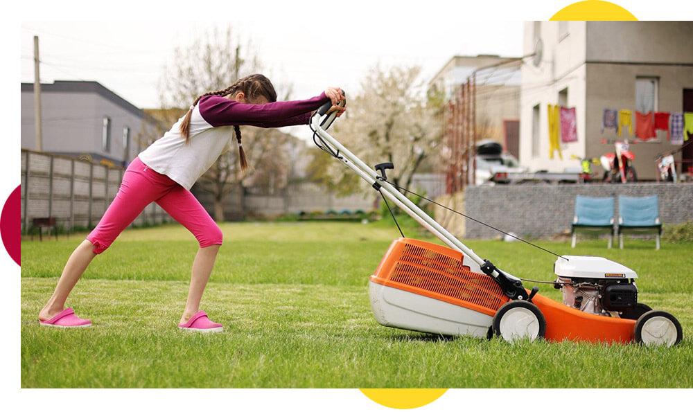 Lawn mower buying guide
