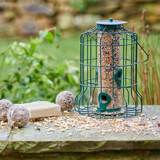 Wild birds