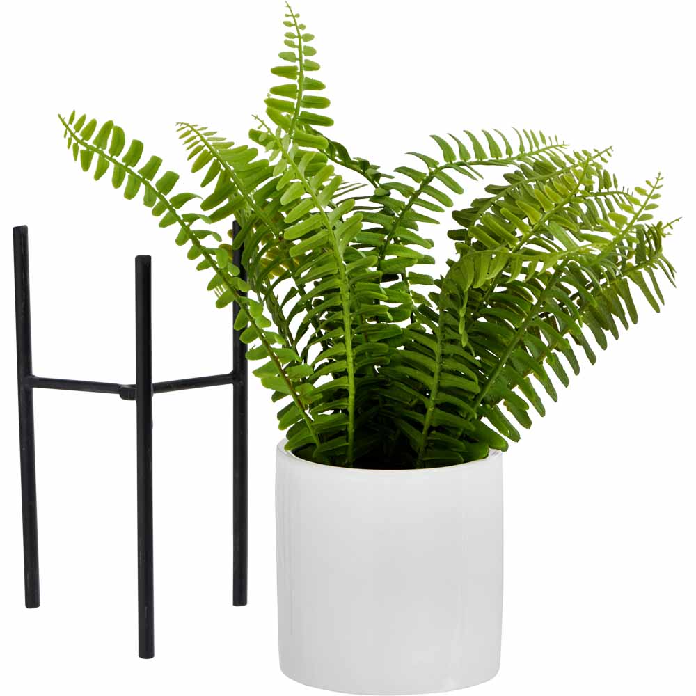 Wilko Fern in White Pot with Metal Stand Image 2