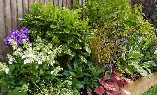 Garden on a roll shady