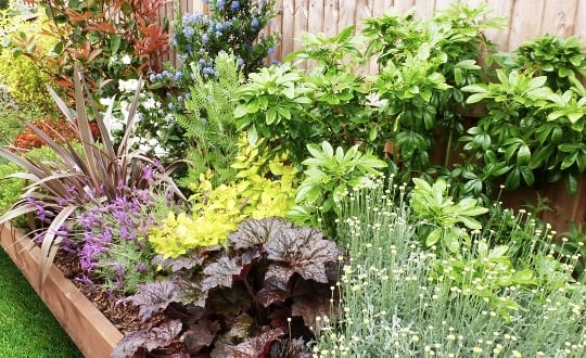 Garden on a roll sunny