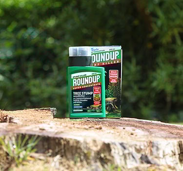 Tree Stump Killer